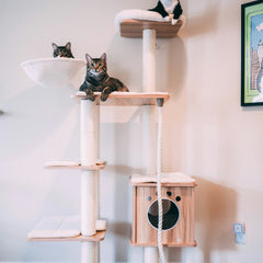 Collection image for: Pets & Furry Friends